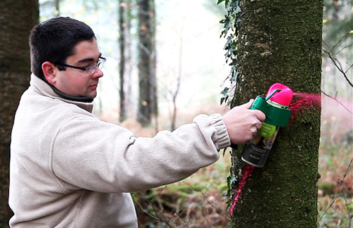 Forestry Marking Accessories